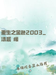 重生之金色2003