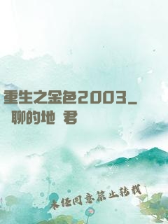 重生之金色2003