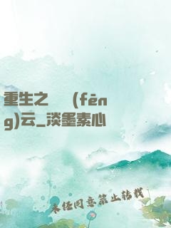 重生之電腦風(fēng)云