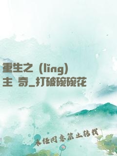 重生之領(lǐng)主傳奇