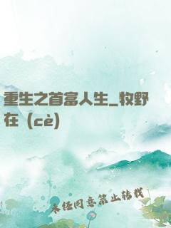 重生之首富人生