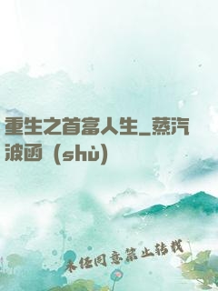 重生之首富人生
