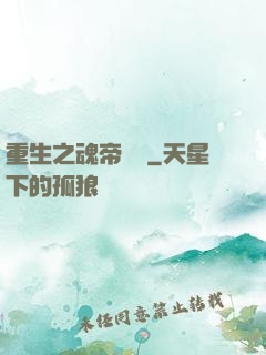 重生之魂帝歸來