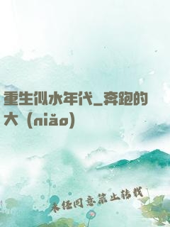 重生似水年代