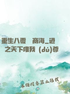 重生八零縱橫商海