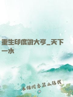 重生印度做大亨