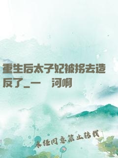 重生后太子妃被拐去造反了