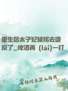 重生后太子妃被拐去造反了
