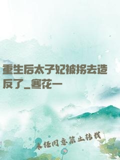 重生后太子妃被拐去造反了