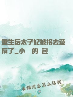 重生后太子妃被拐去造反了
