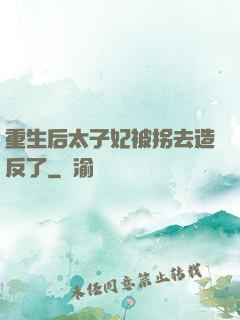 重生后太子妃被拐去造反了