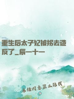 重生后太子妃被拐去造反了