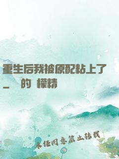 重生后我被原配粘上了