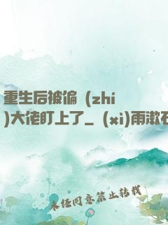 重生后被偏執(zhí)大佬盯上了