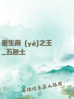 重生商業(yè)之王