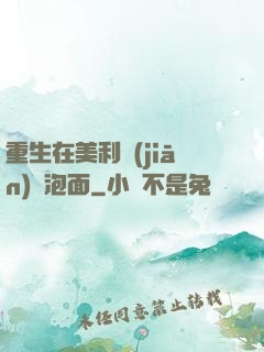 重生在美利堅(jiān)賣泡面