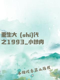 重生大時(shí)代之1993