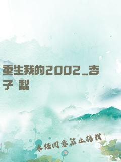 重生我的2002