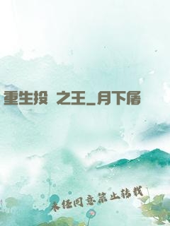 重生投資之王