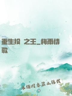 重生投資之王