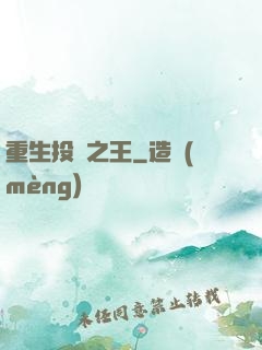 重生投資之王