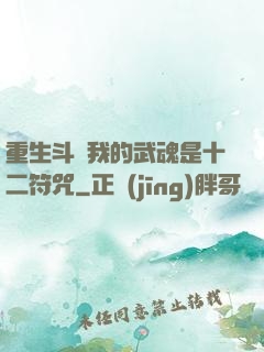 重生斗羅我的武魂是十二符咒