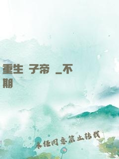 重生電子帝國