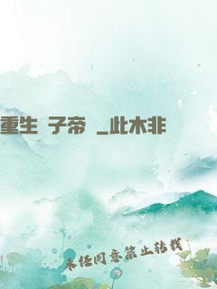 重生電子帝國