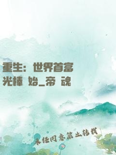 重生：世界首富從賣熒光棒開始