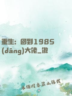 重生：回到1985當(dāng)大佬