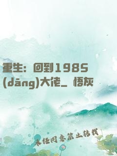 重生：回到1985當(dāng)大佬