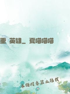 重裝英雄