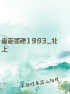 重走警途1993