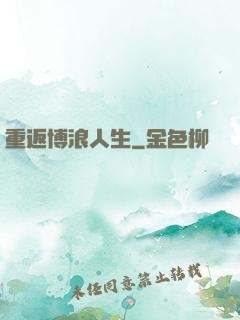 重返博浪人生