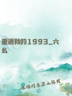 重返我的1993
