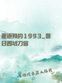重返我的1993