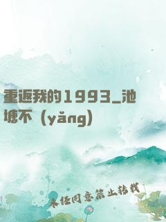 重返我的1993