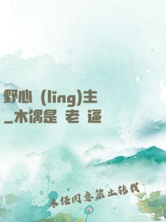 野心領(lǐng)主