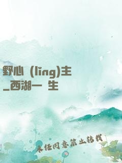 野心領(lǐng)主
