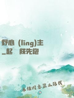 野心領(lǐng)主