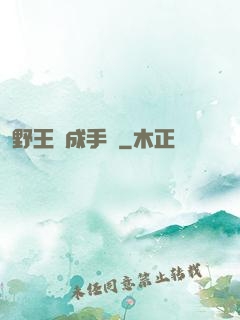 野王煉成手冊