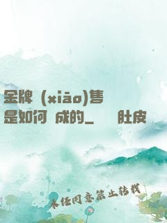 金牌銷(xiāo)售是如何煉成的