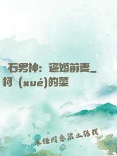 鉆石男神：逼婚前妻