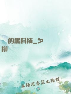 銀龍的黑科技
