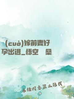 錯(cuò)嫁前妻好孕出逃
