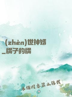 鎮(zhèn)世神婿