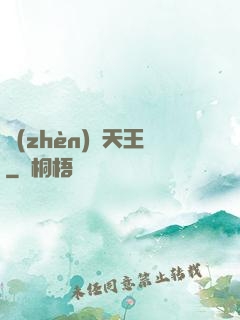 鎮(zhèn)國天王