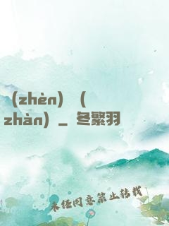 鎮(zhèn)國戰(zhàn)龍