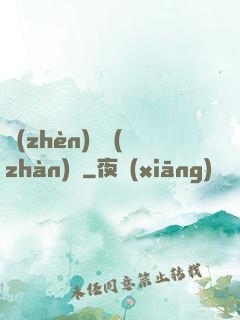 鎮(zhèn)國戰(zhàn)龍