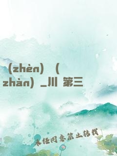 鎮(zhèn)國戰(zhàn)龍